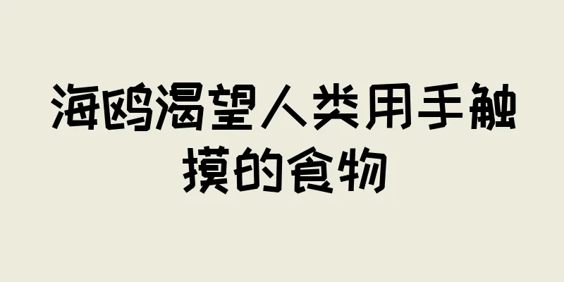 海鸥渴望人类用手触摸的食物