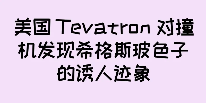 美国 Tevatron 对撞机发现希格斯玻色子的诱人迹象