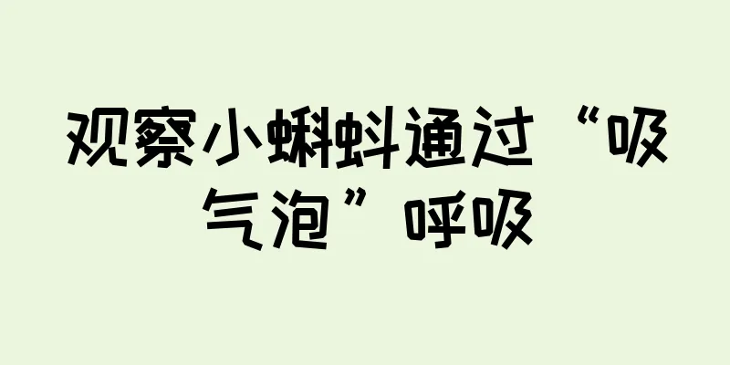 观察小蝌蚪通过“吸气泡”呼吸