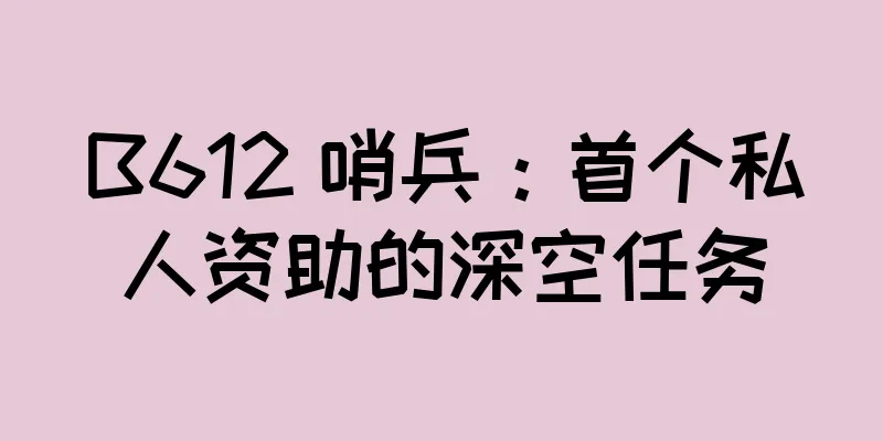 B612 哨兵：首个私人资助的深空任务