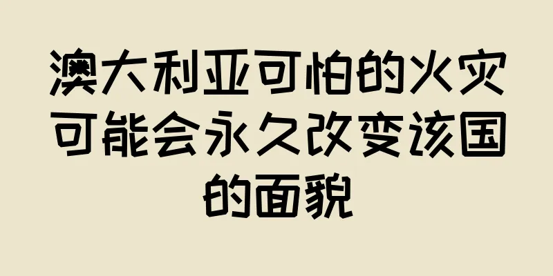 澳大利亚可怕的火灾可能会永久改变该国的面貌