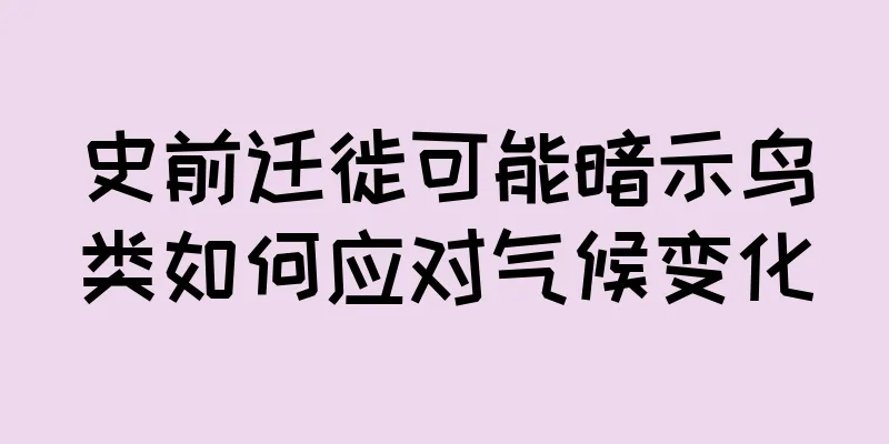 史前迁徙可能暗示鸟类如何应对气候变化