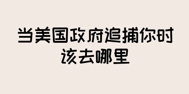 当美国政府追捕你时该去哪里