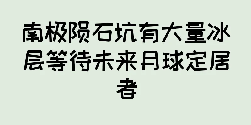 南极陨石坑有大量冰层等待未来月球定居者