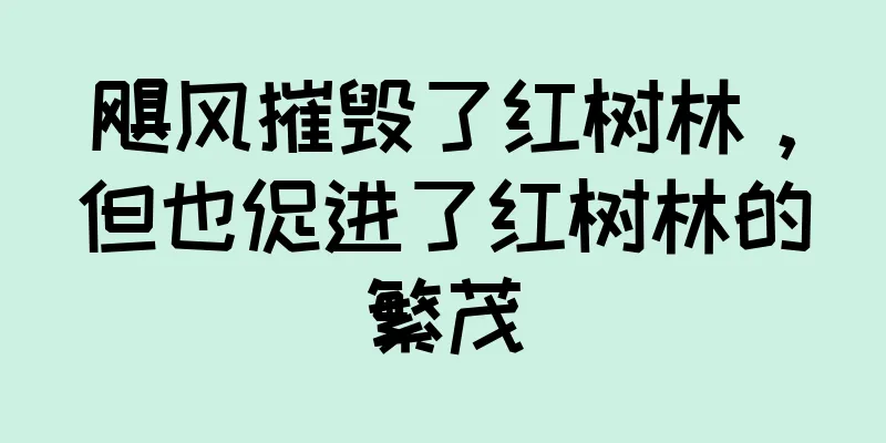 飓风摧毁了红树林，但也促进了红树林的繁茂