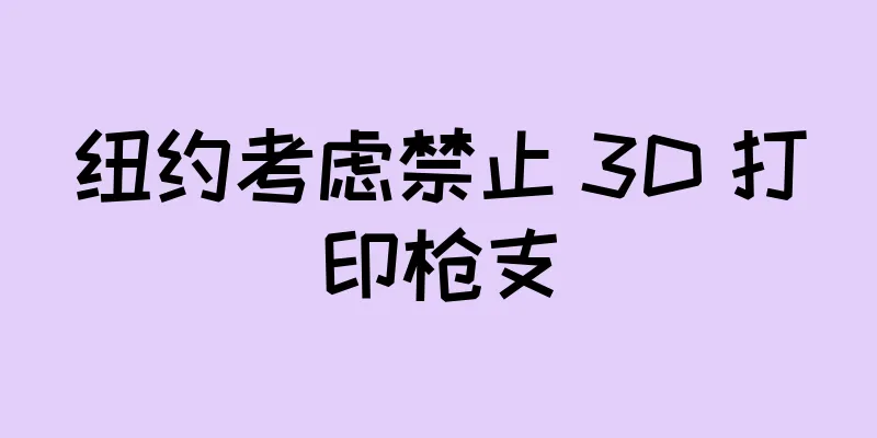 纽约考虑禁止 3D 打印枪支