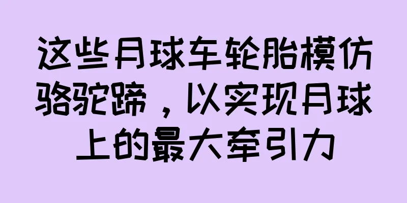 这些月球车轮胎模仿骆驼蹄，以实现月球上的最大牵引力