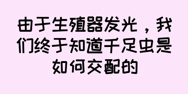 由于生殖器发光，我们终于知道千足虫是如何交配的