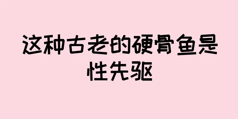 这种古老的硬骨鱼是性先驱