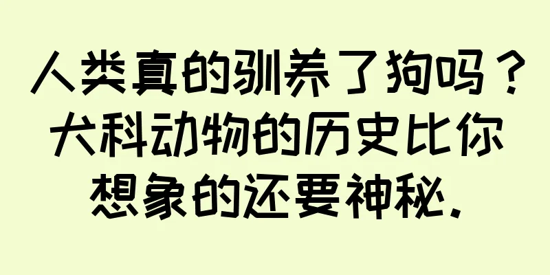 人类真的驯养了狗吗？犬科动物的历史比你想象的还要神秘。