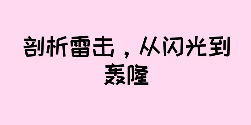 剖析雷击，从闪光到轰隆