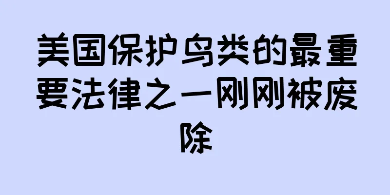 美国保护鸟类的最重要法律之一刚刚被废除