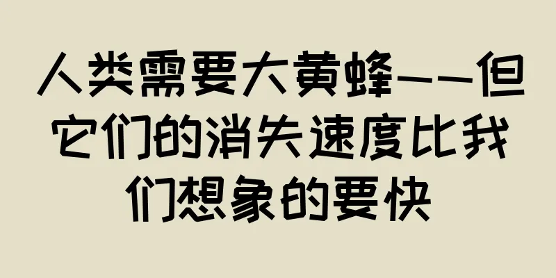 人类需要大黄蜂——但它们的消失速度比我们想象的要快