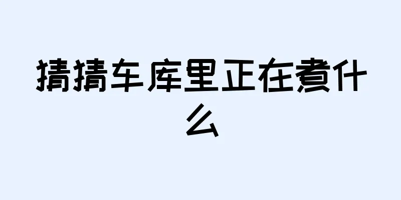 猜猜车库里正在煮什么