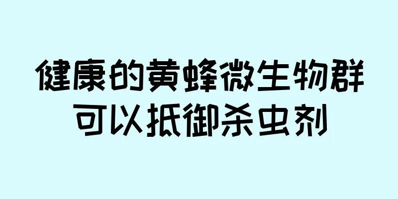 健康的黄蜂微生物群可以抵御杀虫剂