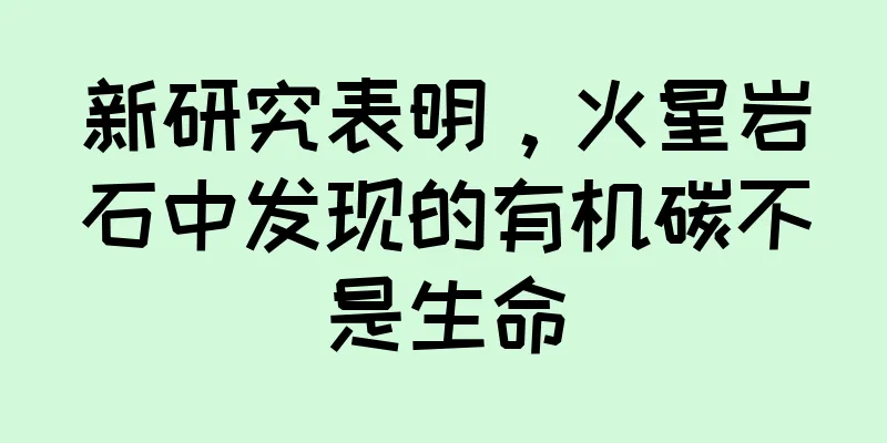 新研究表明，火星岩石中发现的有机碳不是生命
