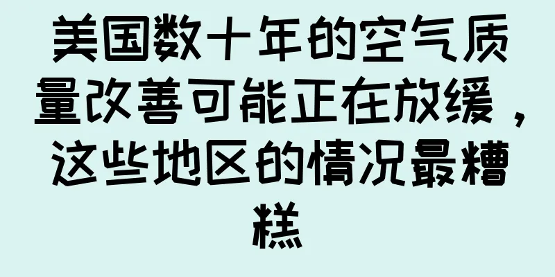 美国数十年的空气质量改善可能正在放缓，这些地区的情况最糟糕