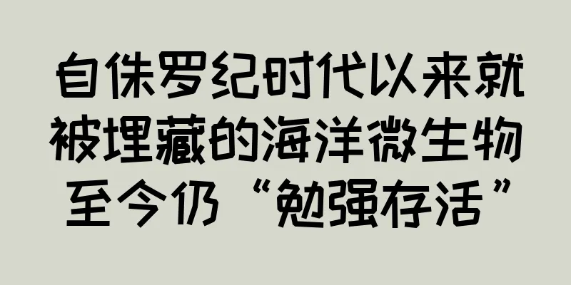 自侏罗纪时代以来就被埋藏的海洋微生物至今仍“勉强存活”