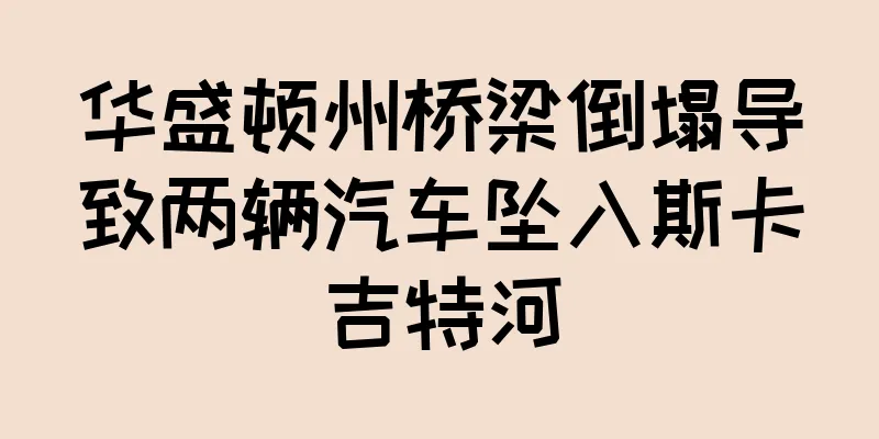 华盛顿州桥梁倒塌导致两辆汽车坠入斯卡吉特河