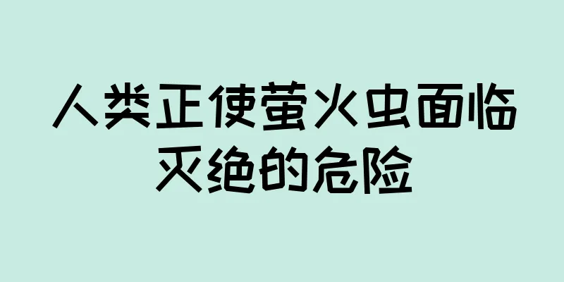 人类正使萤火虫面临灭绝的危险