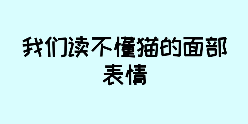 我们读不懂猫的面部表情