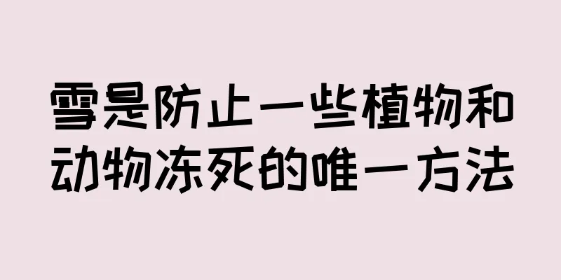 雪是防止一些植物和动物冻死的唯一方法