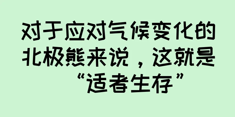 对于应对气候变化的北极熊来说，这就是“适者生存”
