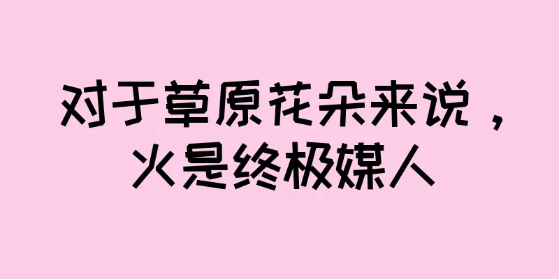 对于草原花朵来说，火是终极媒人