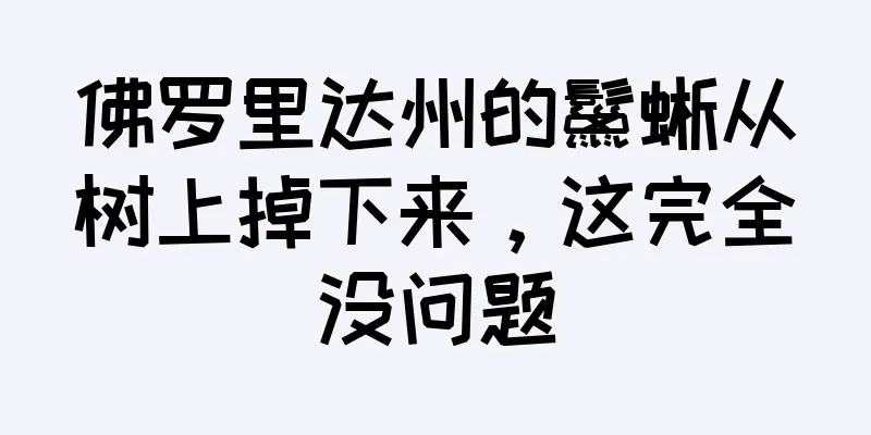 佛罗里达州的鬣蜥从树上掉下来，这完全没问题