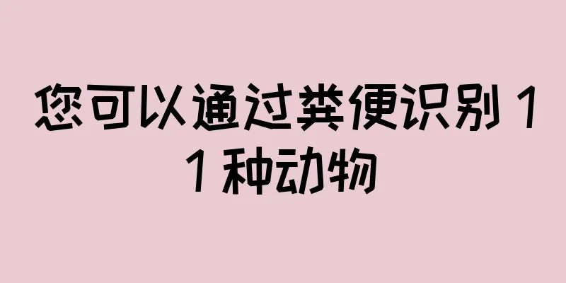 您可以通过粪便识别 11 种动物