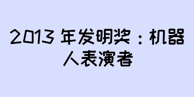 2013 年发明奖：机器人表演者
