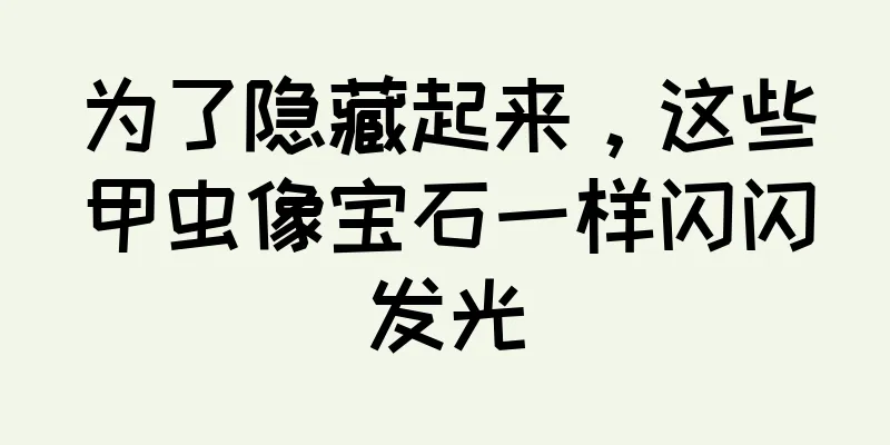 为了隐藏起来，这些甲虫像宝石一样闪闪发光