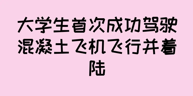 大学生首次成功驾驶混凝土飞机飞行并着陆