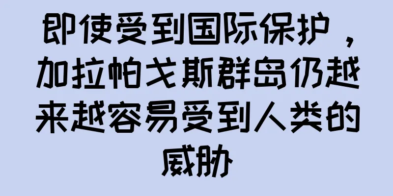 即使受到国际保护，加拉帕戈斯群岛仍越来越容易受到人类的威胁
