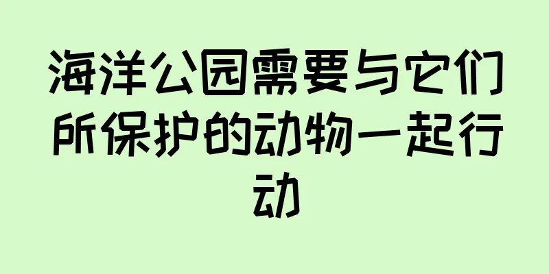 海洋公园需要与它们所保护的动物一起行动