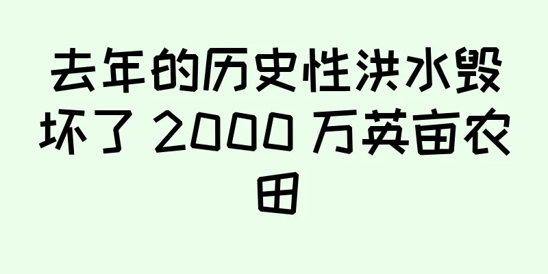 去年的历史性洪水毁坏了 2000 万英亩农田