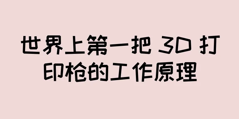 世界上第一把 3D 打印枪的工作原理