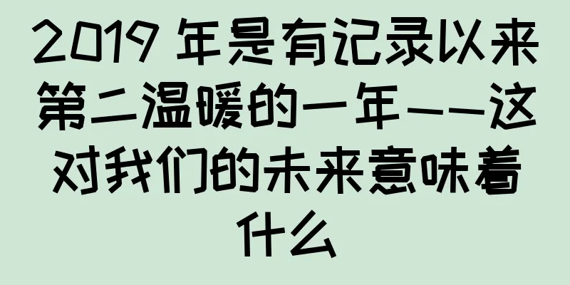 2019 年是有记录以来第二温暖的一年——这对我们的未来意味着什么