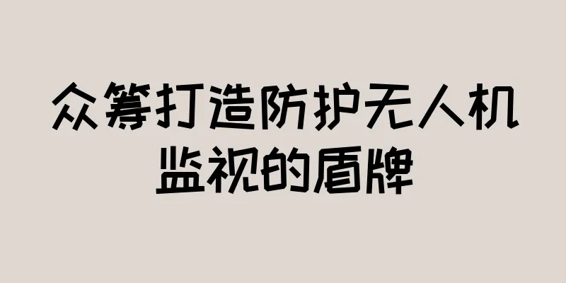 众筹打造防护无人机监视的盾牌