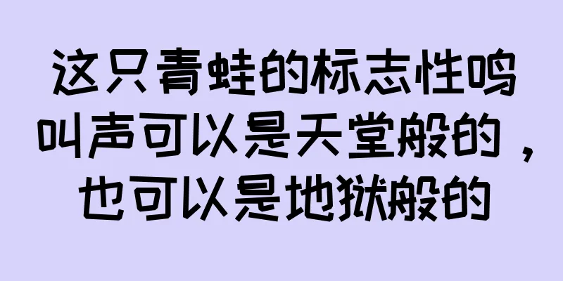 这只青蛙的标志性鸣叫声可以是天堂般的，也可以是地狱般的