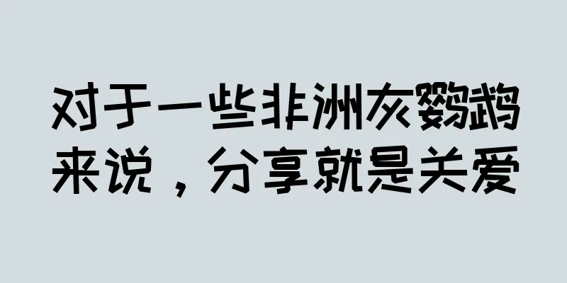 对于一些非洲灰鹦鹉来说，分享就是关爱
