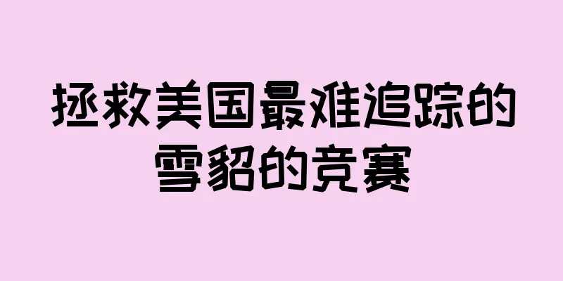 拯救美国最难追踪的雪貂的竞赛