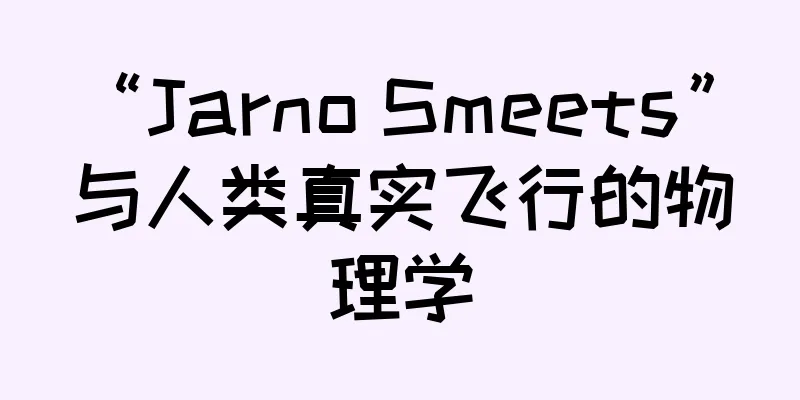 “Jarno Smeets” 与人类真实飞行的物理学