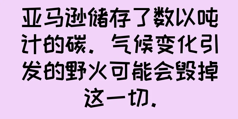 亚马逊储存了数以吨计的碳。气候变化引发的野火可能会毁掉这一切。