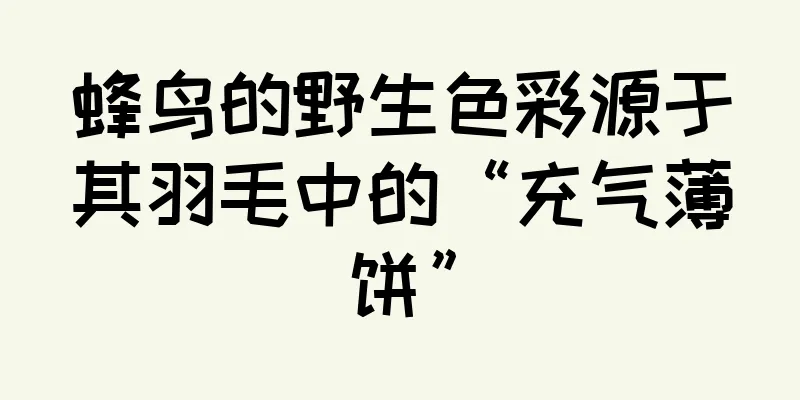 蜂鸟的野生色彩源于其羽毛中的“充气薄饼”