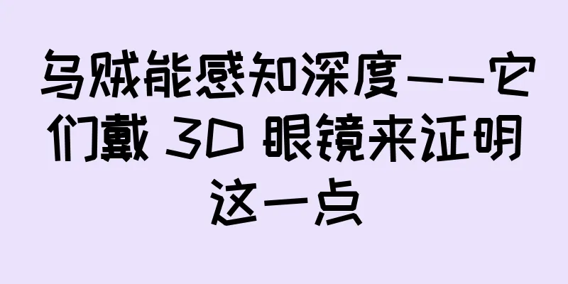 乌贼能感知深度——它们戴 3D 眼镜来证明这一点