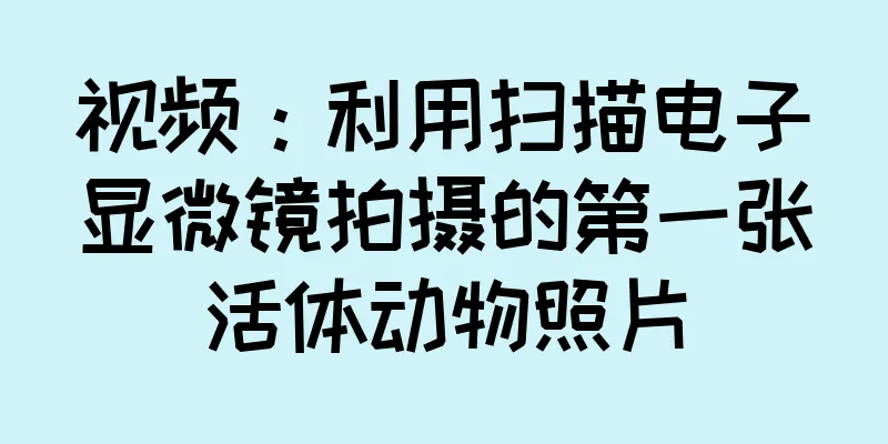 视频：利用扫描电子显微镜拍摄的第一张活体动物照片