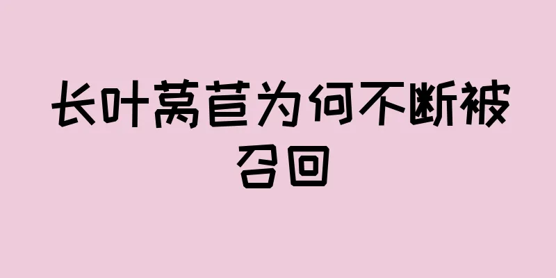 长叶莴苣为何不断被召回
