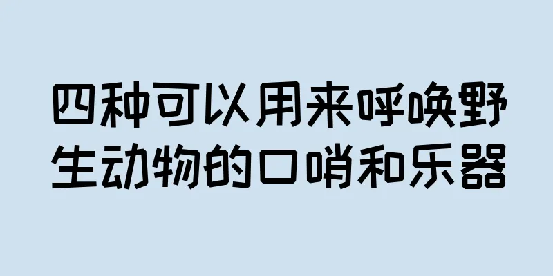 四种可以用来呼唤野生动物的口哨和乐器