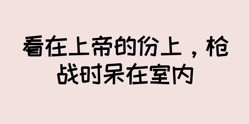 看在上帝的份上，枪战时呆在室内